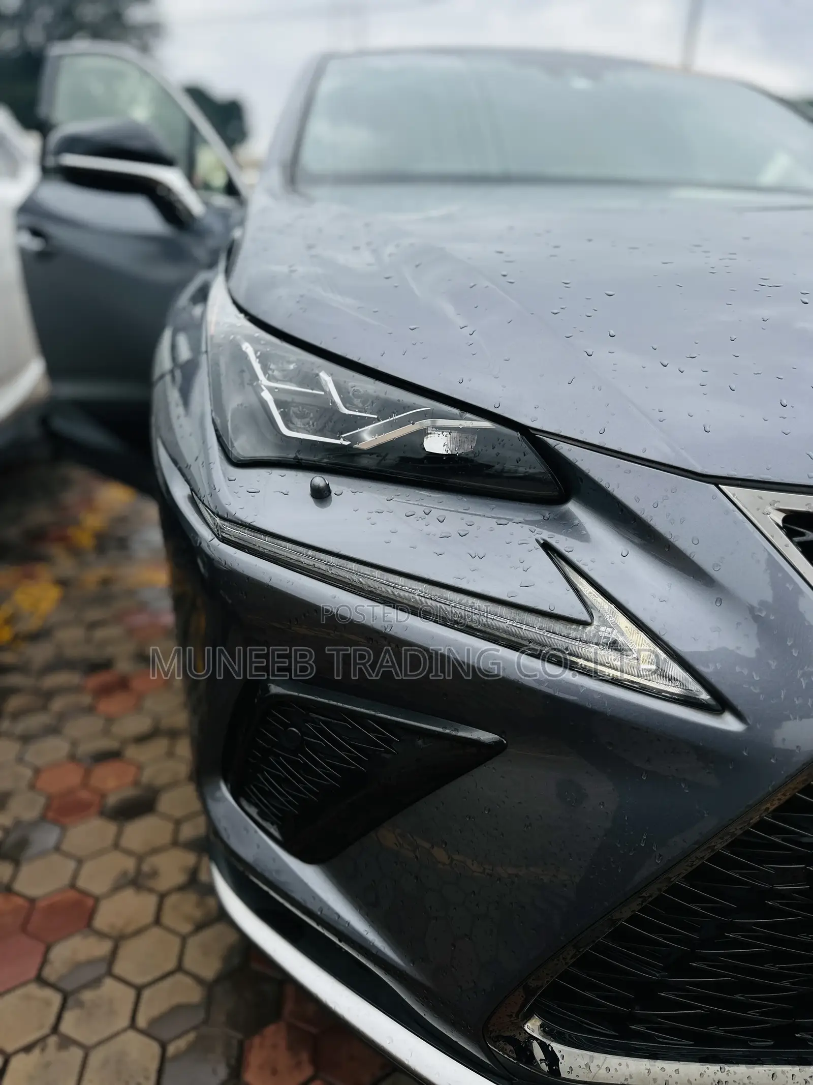 Lexus RX 300 2018 Gray