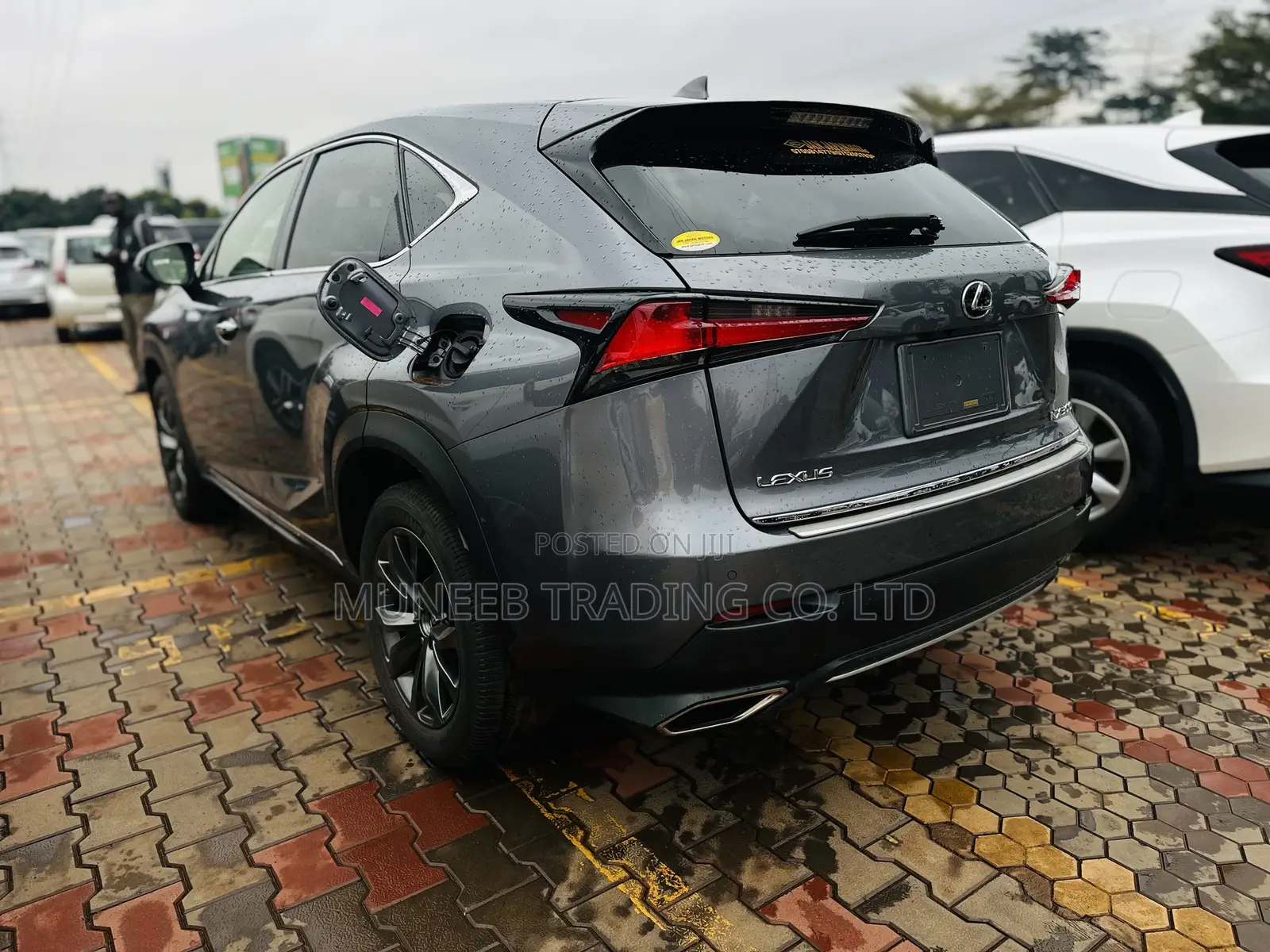Lexus RX 300 2018 Gray