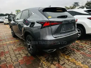 Lexus RX 300 2018 Gray