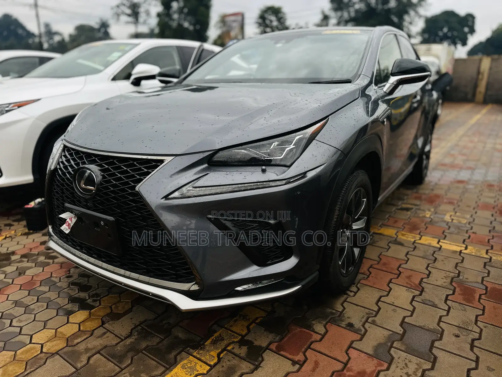 Lexus RX 300 2018 Gray
