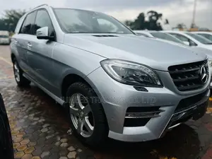 Mercedes-Benz M Class ML350 AWD 4MATIC 2009 Silver
