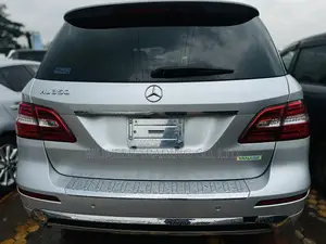 Mercedes-Benz M Class ML350 AWD 4MATIC 2009 Silver