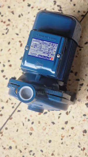 Pedrollo Surface Water Pump 1 Hose Power