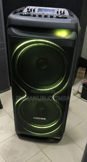 Party Box 15 Inch Double Speaker
