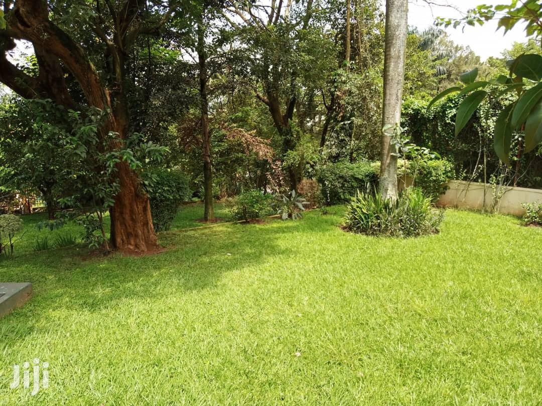 Four Bedroom House In Kololo For Rent