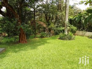 Four Bedroom House In Kololo For Rent