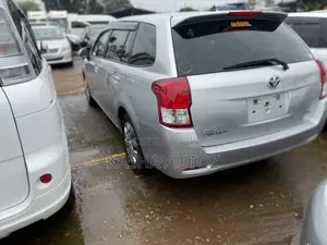 Toyota Corolla Fielder 2013 Silver