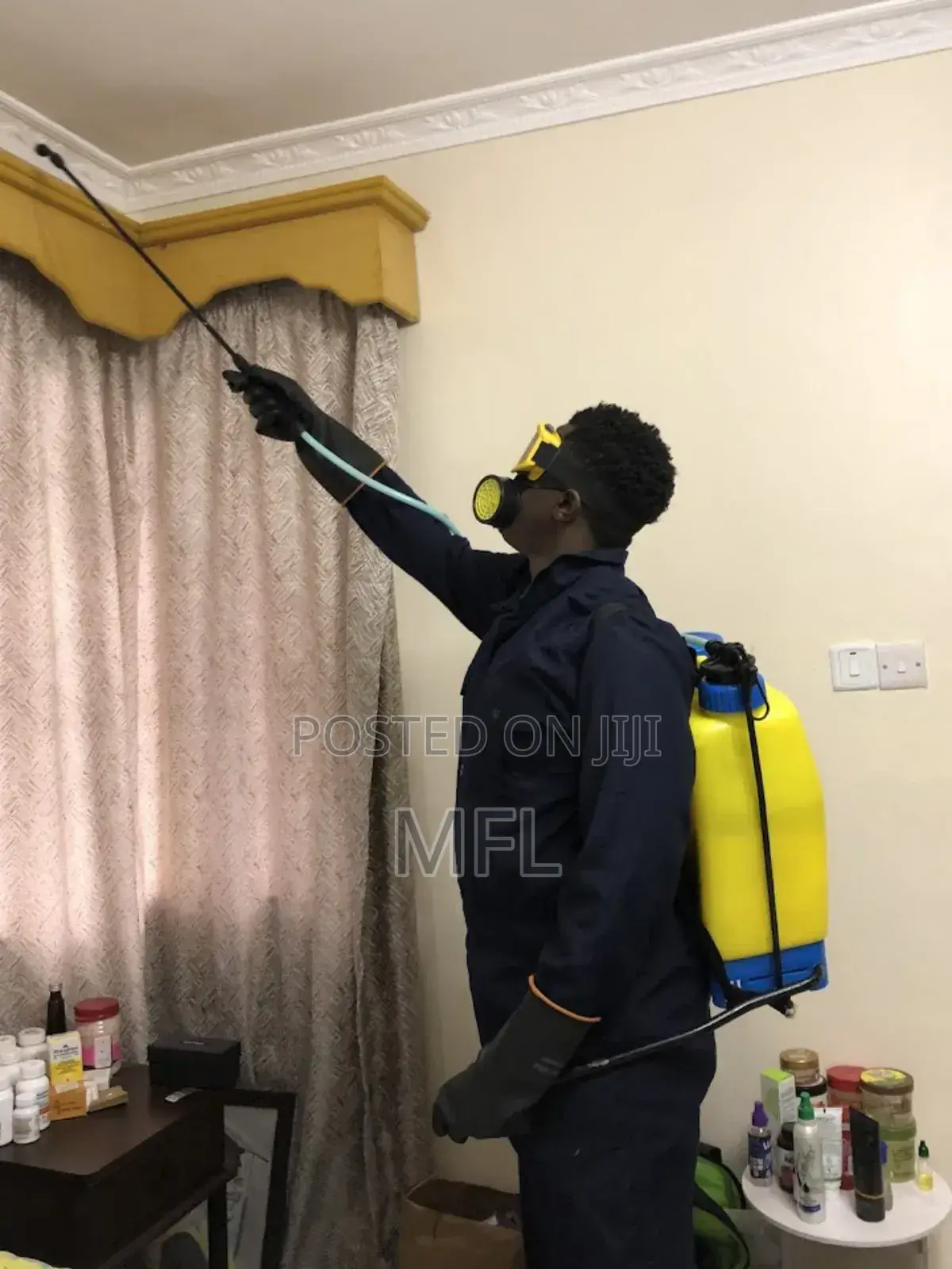 Controlling Bedbugs in Homes