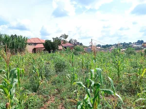 Good Deal 30ft By50ft Plot for Sale Namugongo_bukerere at 6.5m