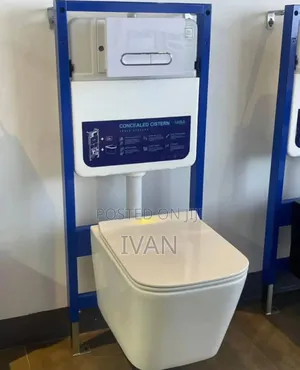 Wall Hung Toilet