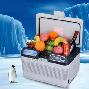 15litres Portable Car Refrigerator