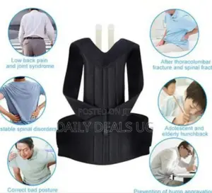 Adjustable Back Support