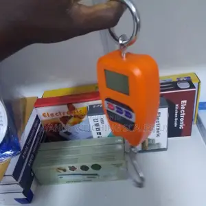 Accurate Mini Crane Weighing Scale