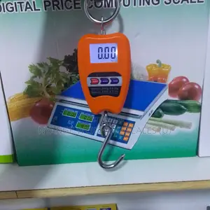 Cheap Digital Commercial Mini Crane Weighing Scale
