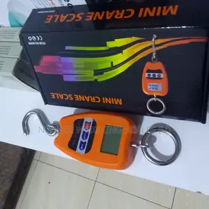 TEM/8088 New High Capacity Mini Crane Weighing Scale