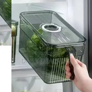 Refrigerator Containers
