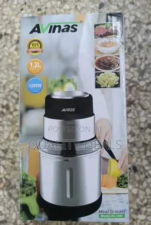 Avinas Stainless Steel Mini Meat Grinder