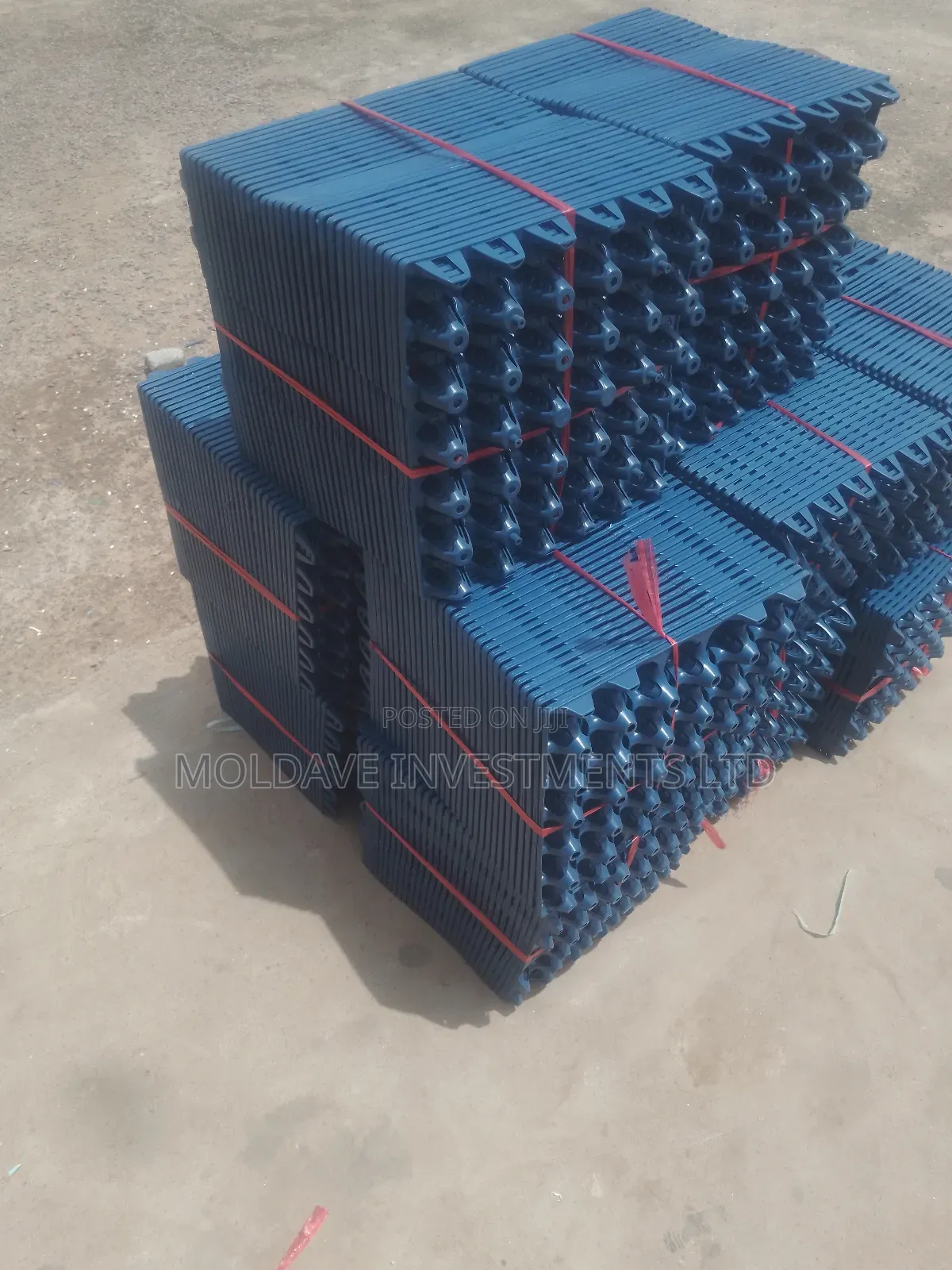 Jumbo Eggs Plastic Trays