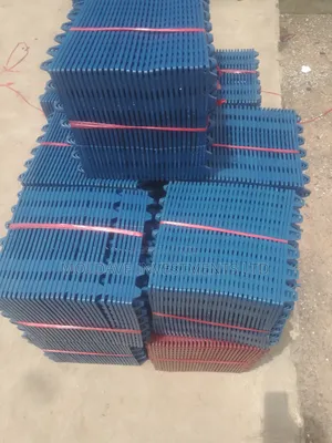 Jumbo Eggs Plastic Trays
