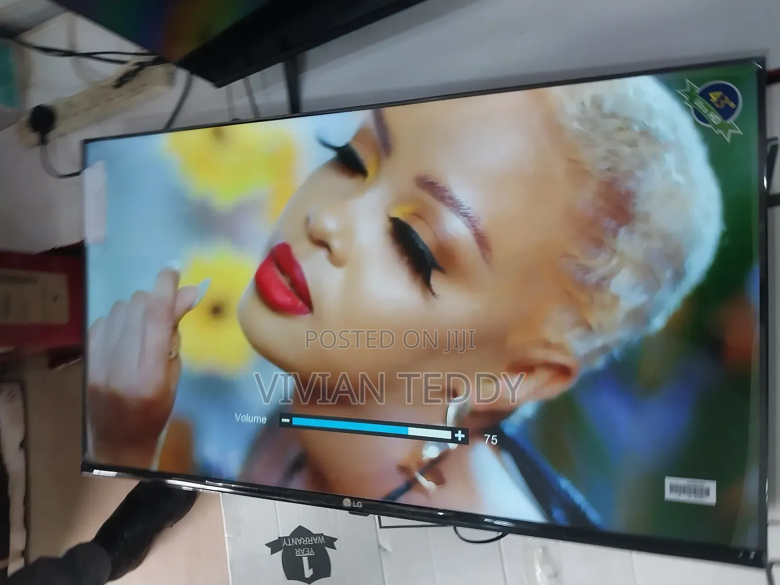 43" Lg Led Frat Screen Digital Tv