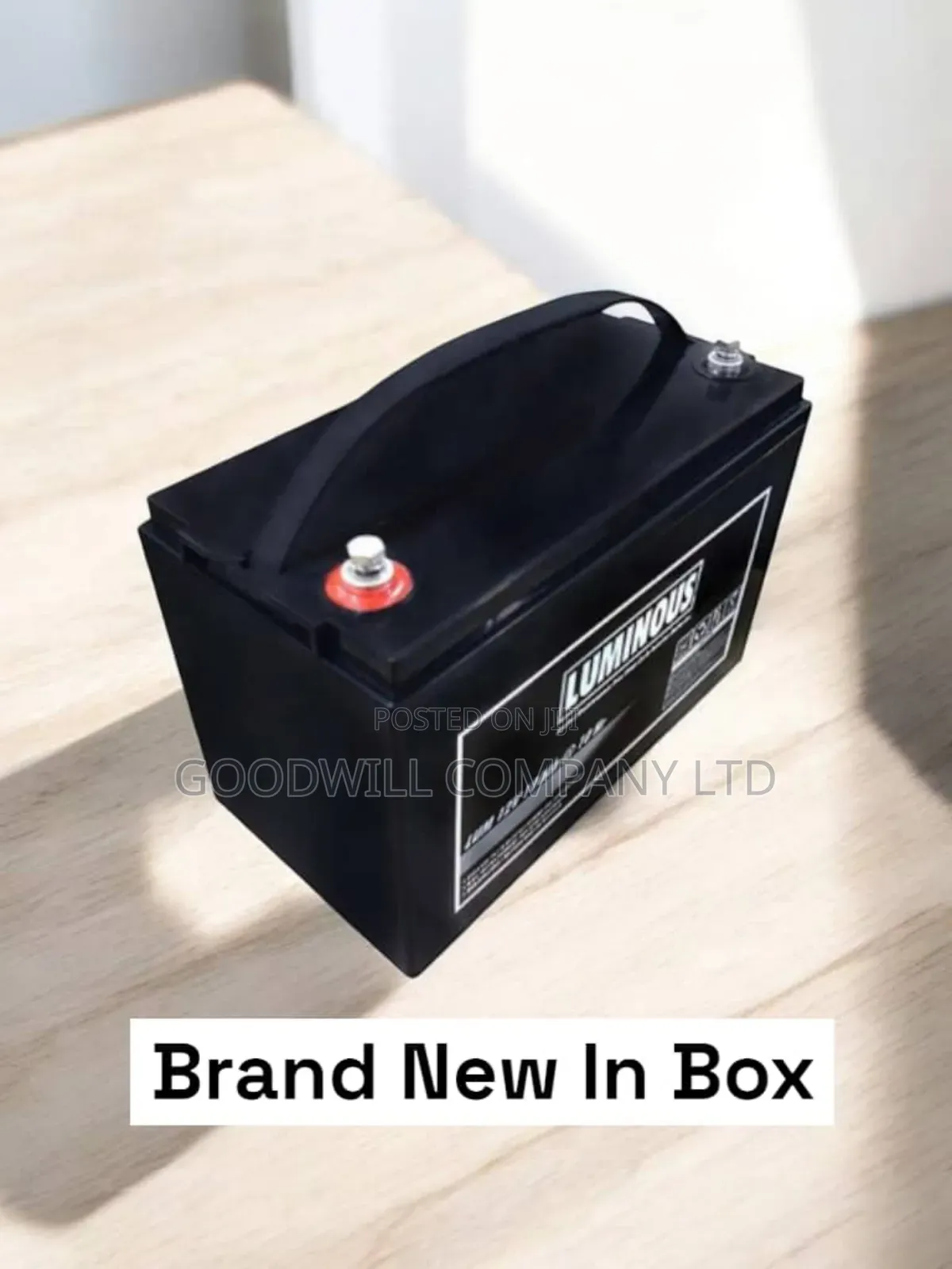 100ah Luminous Battery Heavy Duty AGM