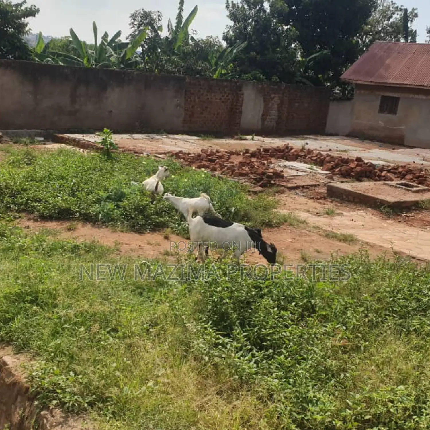 18 Decimals on Forced Sale in Heart of Kabowa With Tarmac Rd
