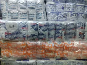 Eurosilk Toilet Paper (Cartons of 100 Tissue Rolls)