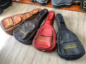 Double Padded Strong Sponge Box Guitar Instrument Gig Bags.