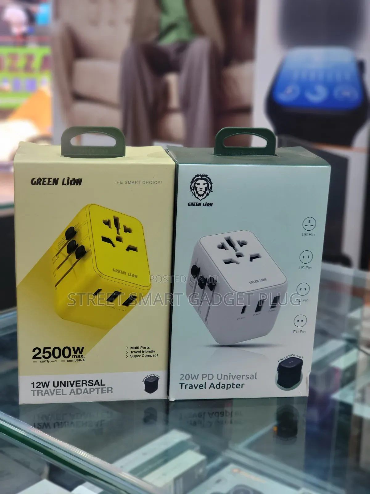 Greenlion 2500watts Universal Travel Adapter