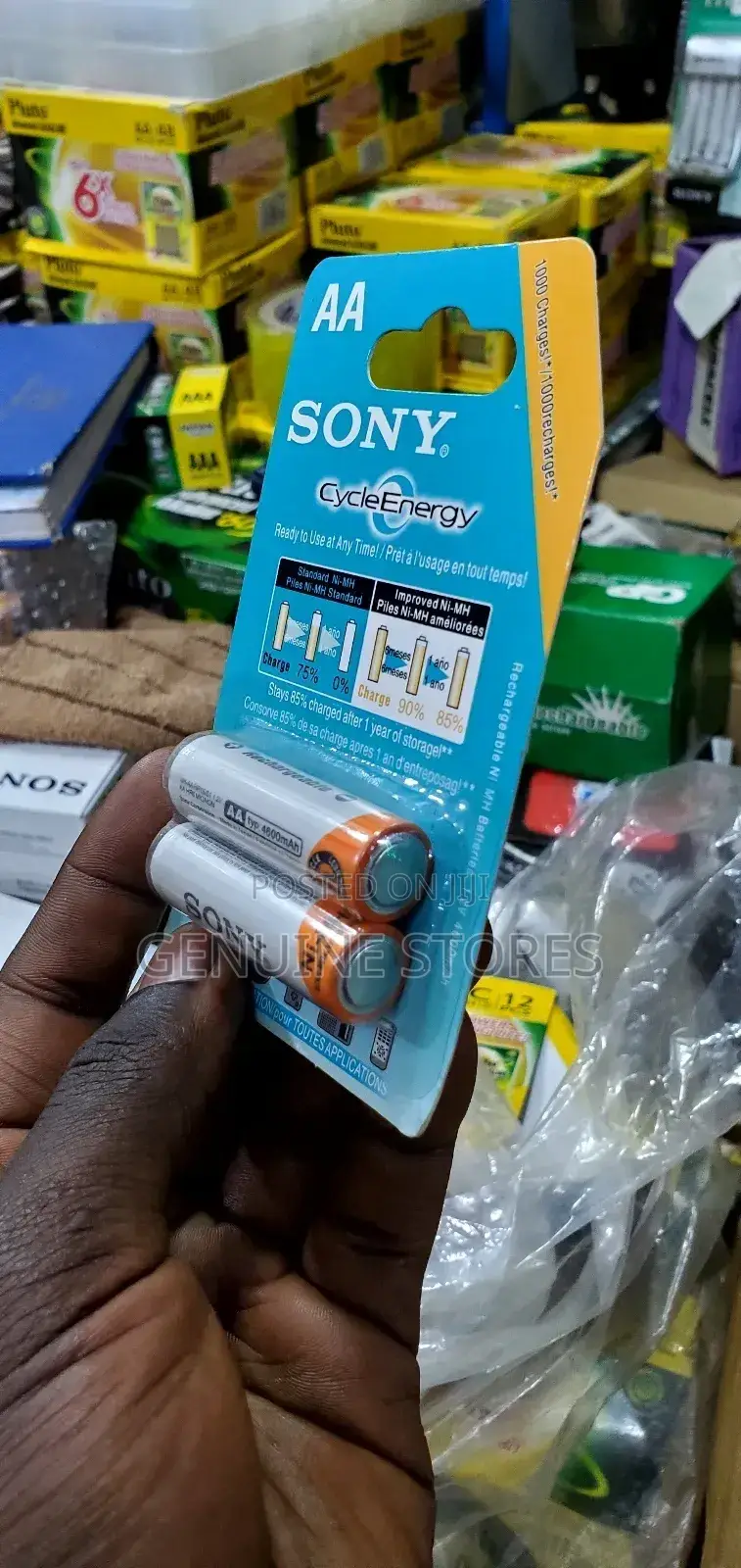 Sony Double AA Rechargeable Batteries