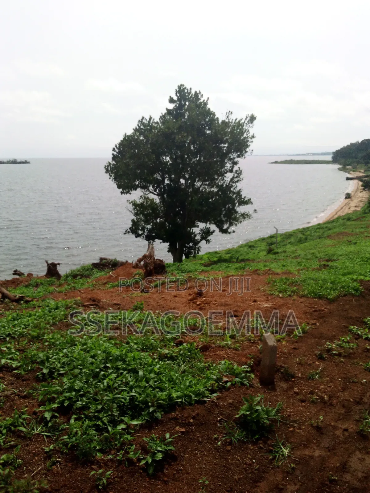 Plot Touching the Lake in Kasenyi Entebbe