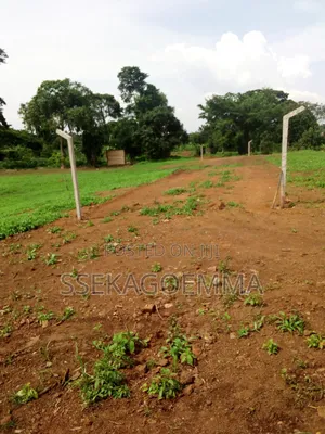 Plot Touching the Lake in Kasenyi Entebbe
