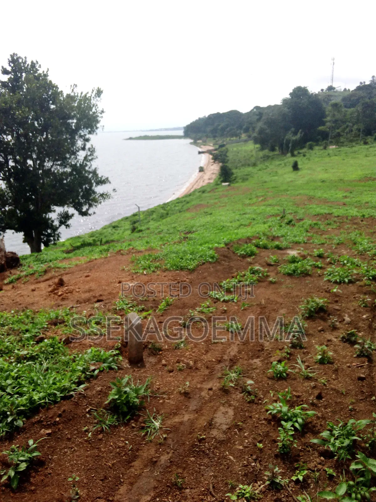 Plot Touching the Lake in Kasenyi Entebbe