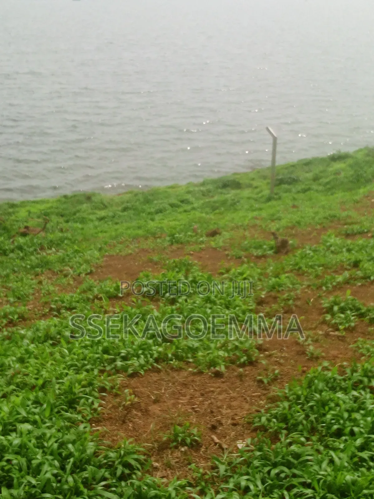 Plot Touching the Lake in Kasenyi Entebbe