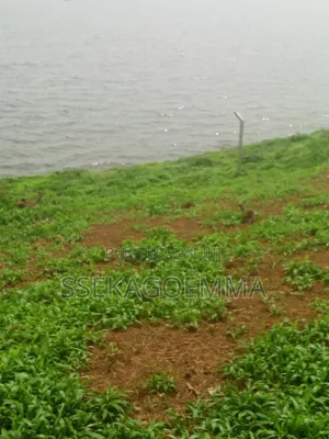 Plot Touching the Lake in Kasenyi Entebbe