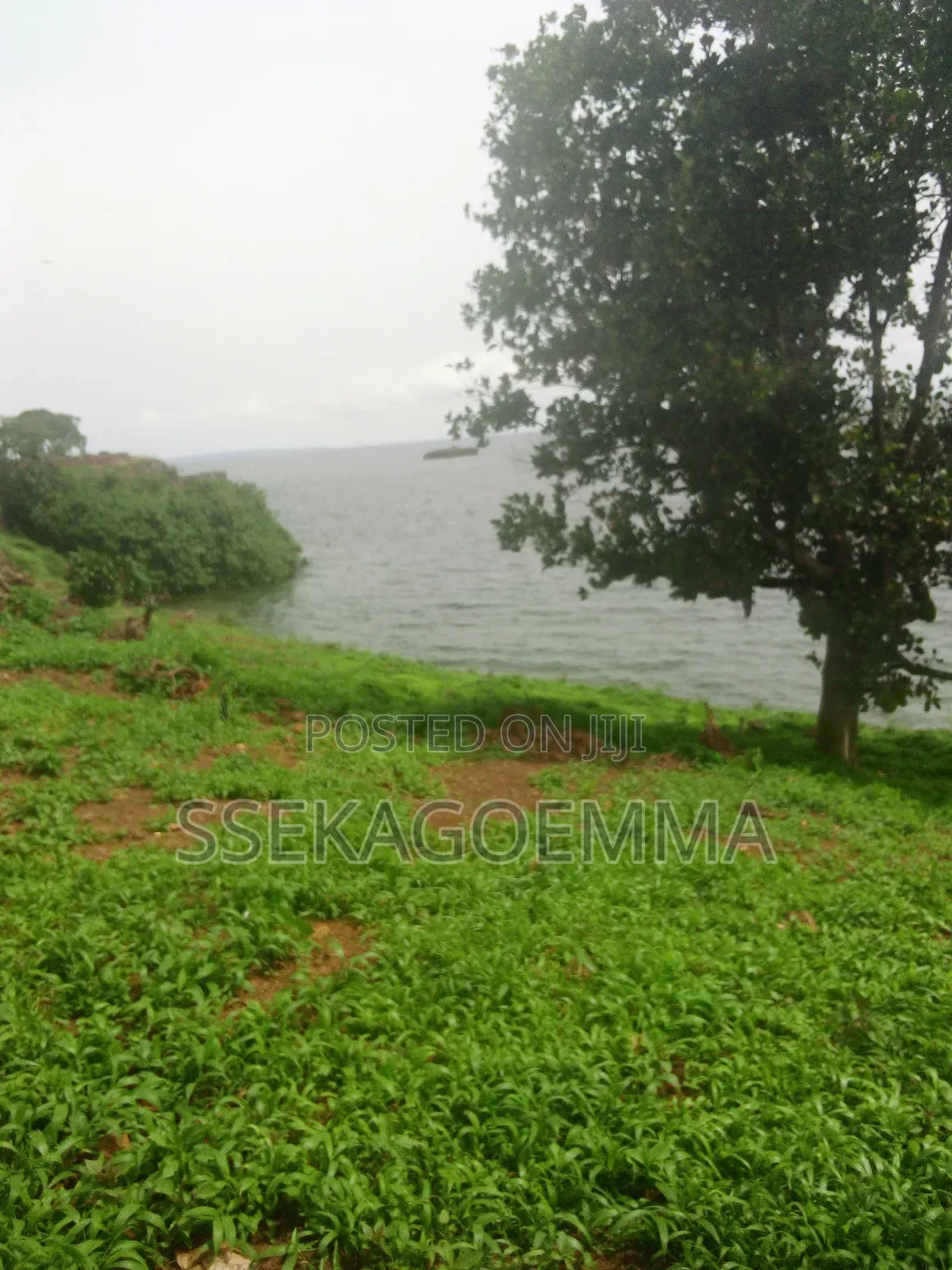 Plot Touching the Lake in Kasenyi Entebbe