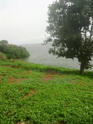 Plot Touching the Lake in Kasenyi Entebbe