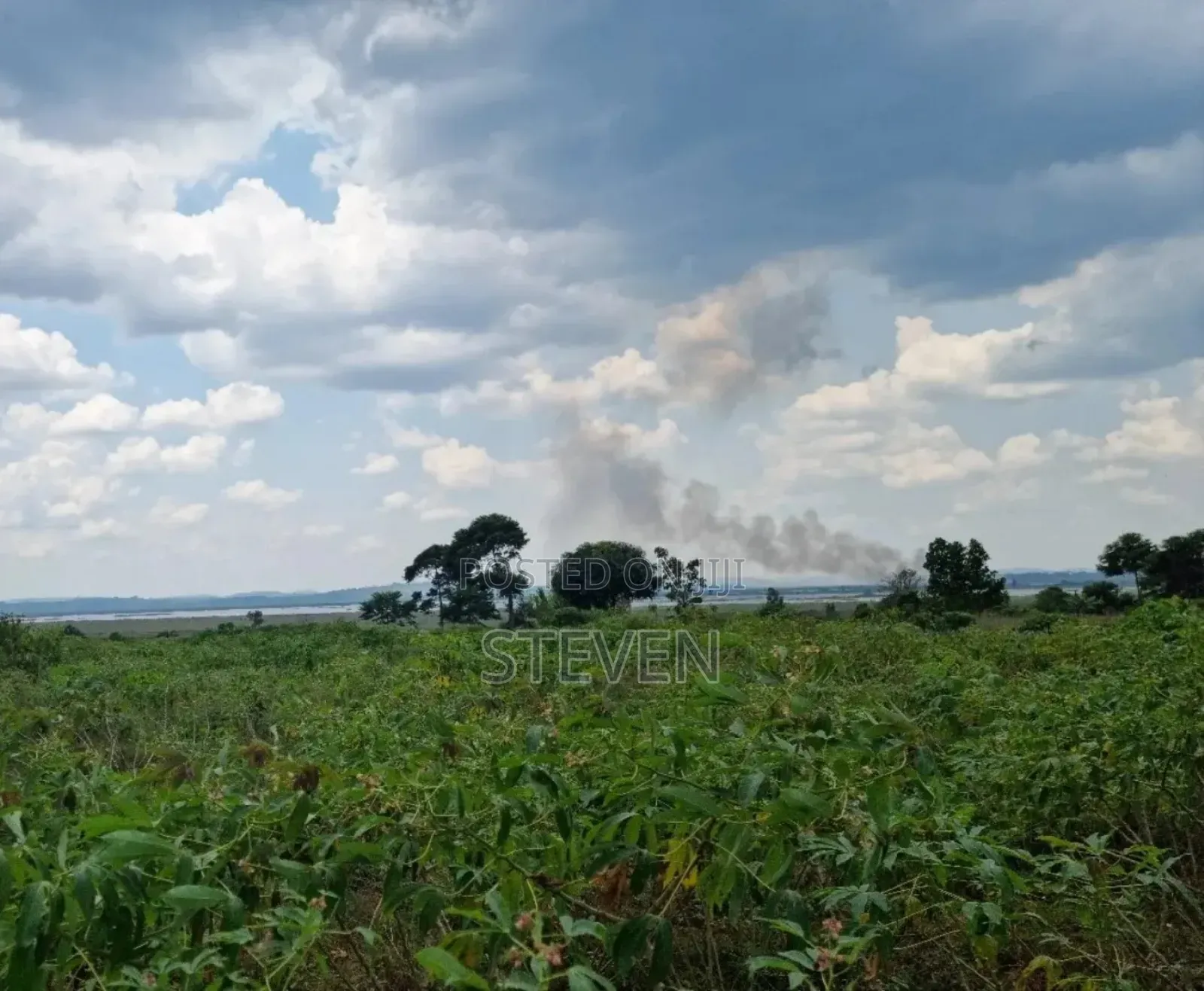 10 Acres on Zinga Island, Bussi Sub County
