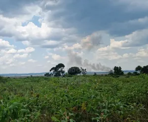 10 Acres on Zinga Island, Bussi Sub County
