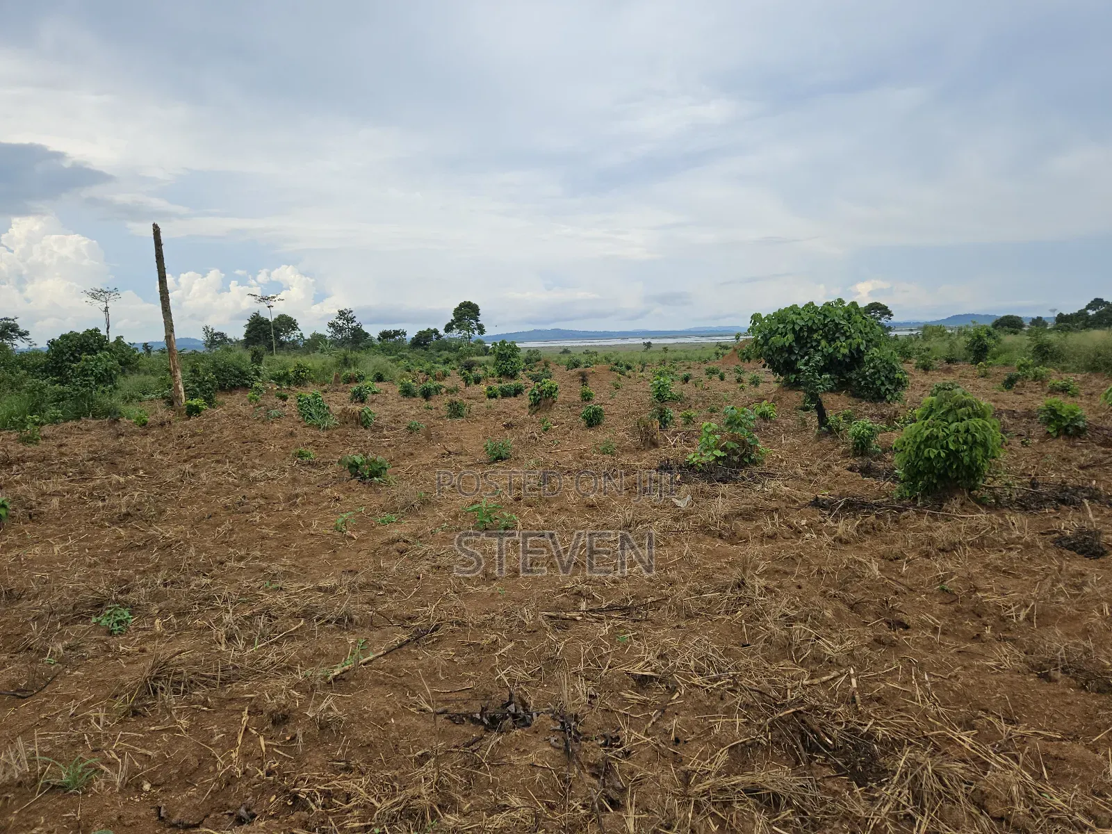 10 Acres on Zinga Island, Bussi Sub County