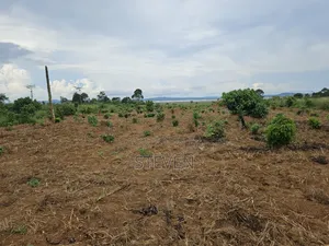 10 Acres on Zinga Island, Bussi Sub County