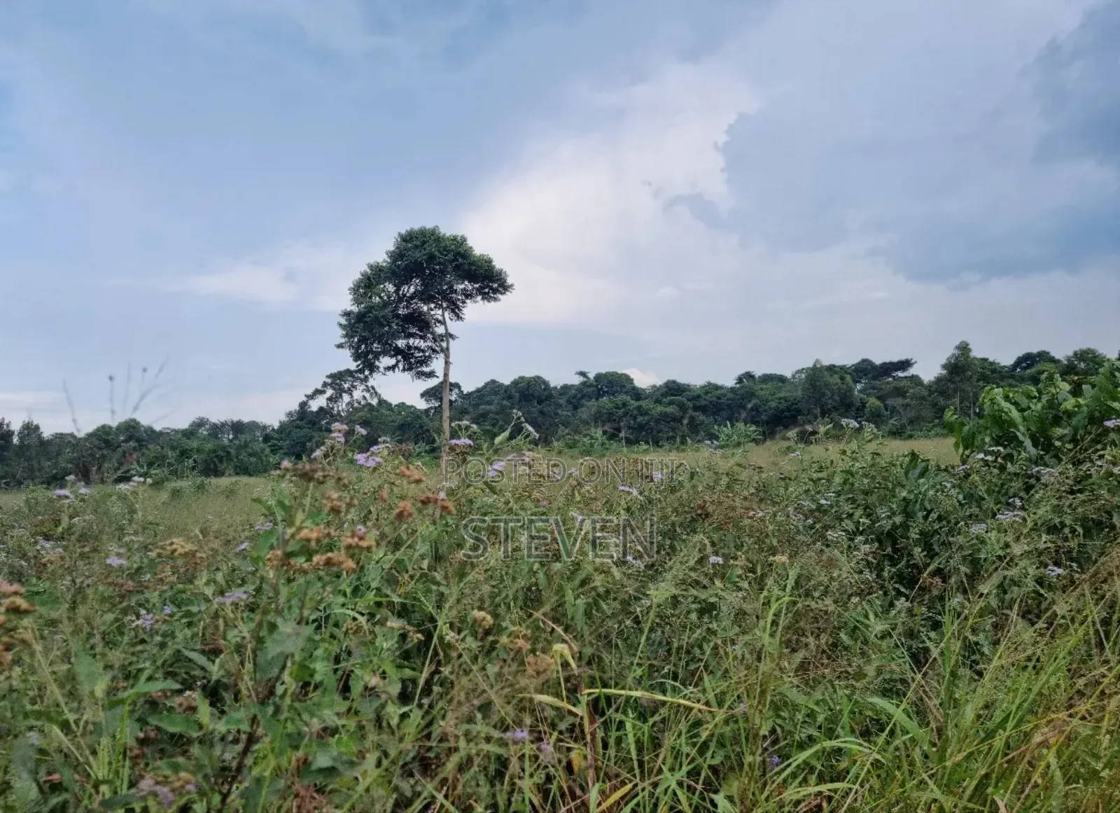 10 Acres on Zinga Island, Bussi Sub County