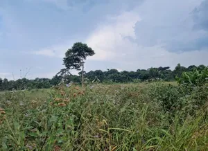 10 Acres on Zinga Island, Bussi Sub County