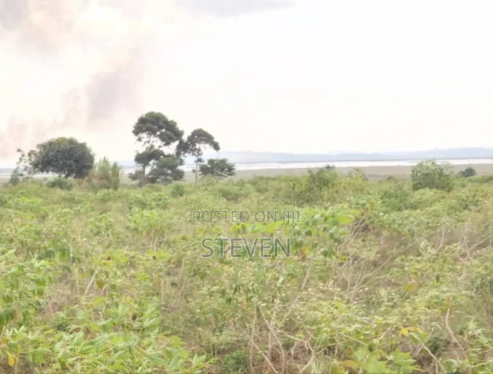 10 Acres on Zinga Island, Bussi Sub County