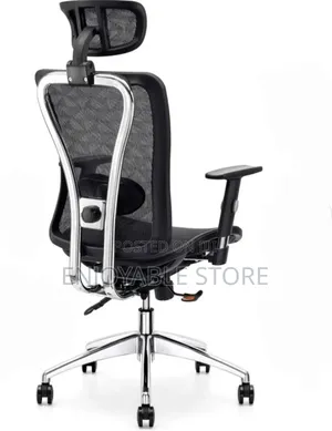 Executive Ergonomic Office Chair Mesh Back