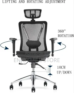 Executive Ergonomic Office Chair Mesh Back