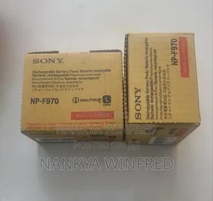 SONY Battery Np-F970