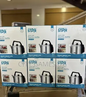 5L Winning Star Electric Kettle