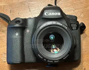 Canon EOS 6D 20.2 MP