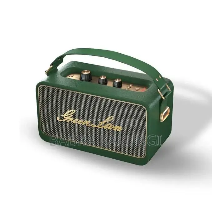 Green Lion Classic Sound Stereo Speaker- Multicolor